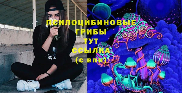 дурь Алексеевка