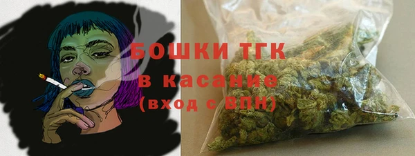 ешки Алзамай