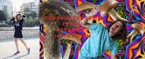 дурь Алексеевка