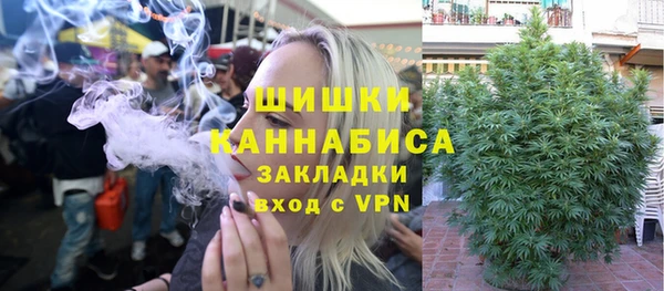 ешки Алзамай