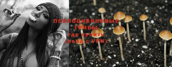 дурь Алексеевка